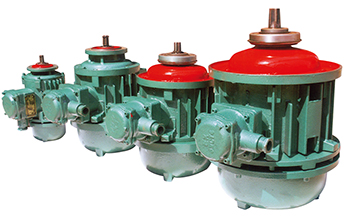 葫蘆電動(dòng)機(jī)